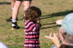 C-Elephants  0056_resize